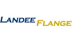 Surface Treatments of Stainless Steel Flanges