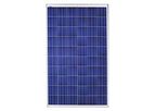 Solarworld - SunProtect - Model 265 - Polypropylene Solar Panels