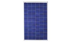 Solarworld - SunProtect - Model 265 - Polypropylene Solar Panels