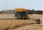 Lexion - Model 700 Series - Combines
