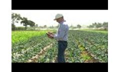 Slammer 40cm Probe Video