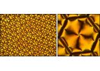 Platypus - Microwell Arrays