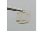 Platypus - Microfabricated Gold Thin-Film Patterned Electrodes
