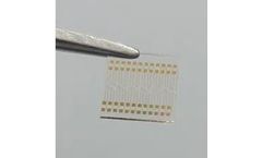 Platypus - Microfabricated Gold Thin-Film Patterned Electrodes