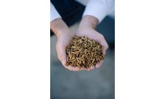 EnviroFlight - Model EnviroBug  - Premium Dried Black Soldier Fly Larvae (BSFL)