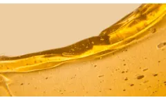 EnviroFlight - Model EnviroOil - Premium Dried Black Soldier Fly Larvae (BSFL)