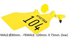 HASTAG - Model MAXI - HASTAG MAXI EARTAG