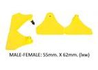 HASTAG - Model CALF - Calf Eartag