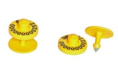 Hastag - RFID Bovine Eartags