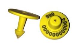 Hastag - RFID Ovine Eartags