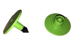 Hastag - Model B/1 - Bovine Eartags