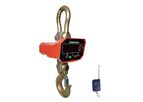 Model CS-ZS 1/2/3/5T - Crane Scales