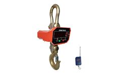 Model CS-ZS 1/2/3/5T - Crane Scales
