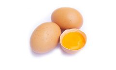 Reactor Unit for Industrial and Commercial