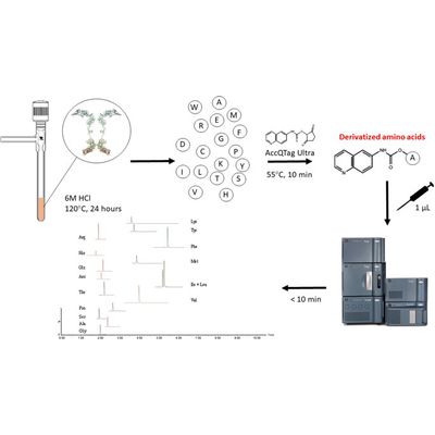 BOC Sciences Upgrades Its Supply Chain of Amino Acid and Peptide Products