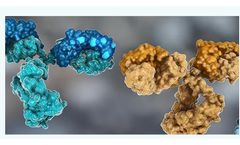 BOC Sciences Introduces a Novel XDC Bioconjugation Platform to Advance Biomedical Research