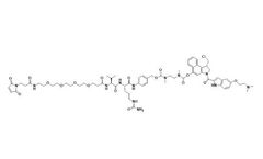 BOC Sciences - MA-PEG4-vc-PAB-DMEA-duocarmycin DM