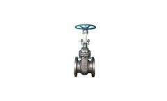Guanli Valve - Model Alloy 20 CN7M - Gate Valve