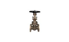 Guanli Valve - Nickel Aluminium Gate Valve