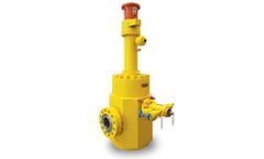 ATV - Subsea Through Conduit Double Expanding Gate Valve