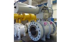 ATV - Side Entry Ball Valve