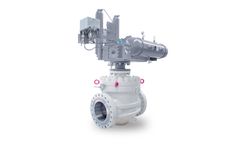 ATV - Top Entry Ball Valve
