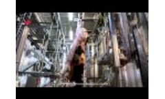 Slaughterhouse Video