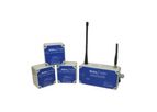 Model RDL//1000 - Wireless Remote Monitoring System