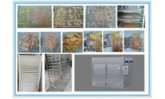 How to Make Dried Apple Chips by Dryer