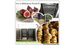 AZEUS - Multifunctional Figs Drying Machine-Tray Type, hot air circulation, electric
