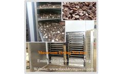 AZEUS - Mushroom Drying Machine