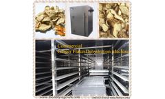 AZEUS - Commercial Ginger Dehydration Machine