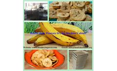 AZEUS - Double Door Plantain Drying Machine