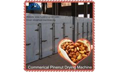 AZEUS - Wholesale Pine Nuts Drying Machine