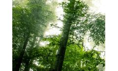 Activated Carbon Products for Mercury Emissions