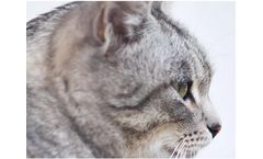 Activated Carbon Products for Petcare