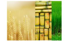 Micronz Agri Cure+ - Microbial Plant Growth Promoter