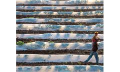 Ginegar - Model C794 - Low Tunnels