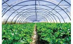 Ginegar - Greenhouse and Tunnels Cover Films