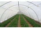 Ginegar - Anti-Insect (Polysack) Nets