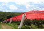 Ginegar ChromatiNet - Greenhouse Shading Nets