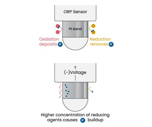 The Basics of Oxidation-Reduction Potential (ORP)