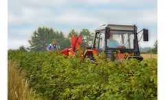 Weremczuk - Model Joanna-4 Eco - Half-Row Berry Harvester