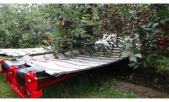Weremczuk - Model MAJA Automatic-TS - Sour Cherry Harvester
