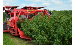 Weremczuk - Model Victor-Z - Currant and Berry Harvester