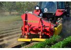 Weremczuk - Model BONA - Carrot Root Topper and Haulm Crusher