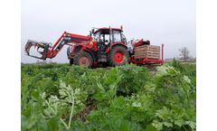 Weremczuk - Model Alina Eco II - Carrot Harvester for Harvesting Vegetable Into Box Pallet