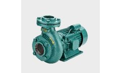 Sterling - Model SMB-20 - Centrifugal Monoblock Pump