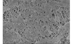 ARC - Flat PTFE Membranes
