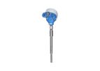 Model T13 - Explosion Proof Pt100 Thermometer, US Style